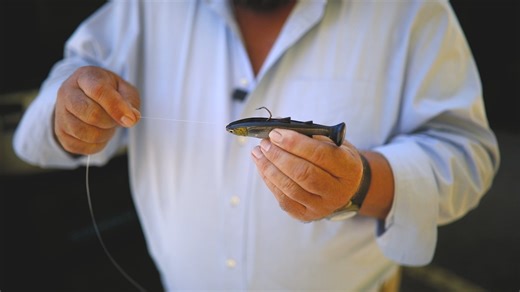 1.4K views · 2.6K reactions | Let this sink in . . . 17 cobia on one...