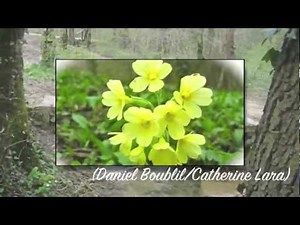 Catherine Lara - Et le printemps (1972)