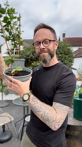 50K views · 1.9K reactions |  Don’t lie…you thought of something immediately…am I right!?❓ You know what I’d choose…bags and bags and bags of compost 藍 If I had a trolley dash in any garden centre then I’d choose @stpetersgardencentre!! It’s my favourite…and I’d have to fill up on cake too, obvs!   Like and follow for more gardening fun like this! #Gardening | Adam Kirtland - View From The Potting Bench | Facebook