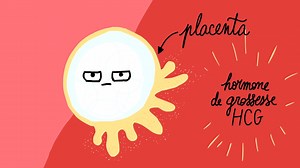 5.3K views · 66 reactions | La nidation est le processus par lequel l'embryon s'implante dans la paroi de l'utérus, environ 6 à 10 jours après la fécondation. Pendant cette étape clé, l'embryon adhère à l'endomètre (muqueuse utérine) pour y puiser les nutriments et l'oxygène nécessaires à son développement. #Nidation #DébutDeLaVie #ImplantationEmbryon #Grossesse | Docteur Ahmed SKHIRI Gynecologue | Facebook