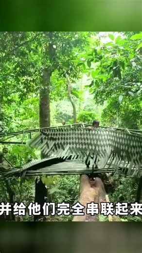 男人只看了一眼，就用心改造成這片荒地！成為別人羨慕的美麗家園 #野外建造 #荒野建造 #庇护所 #木屋建造 #野外生存