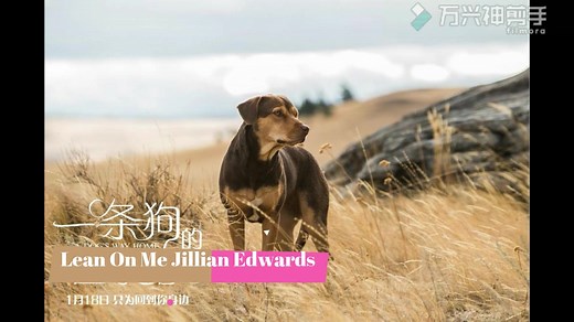 Lean On Me Jillian Edwards