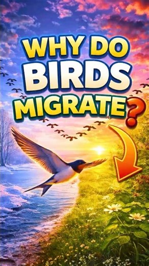 Why Birds Migrate (It’s Not Random!) 🐦