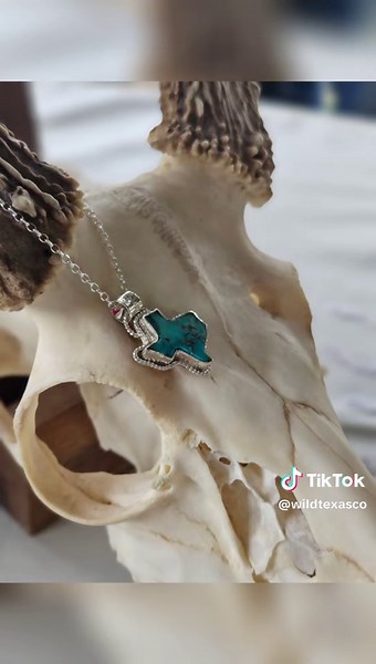 Wild Texas Co on TikTok