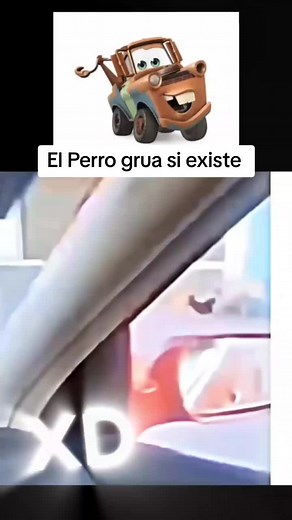 El Perro Grua: ¡Una Historia Increíble de Mascotas Divertidas en TikTok!