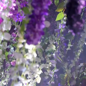 20K views · 4K reactions | ROSÉ - ON THE GROUND | INKIGAYO PERFORMANCE❤️ | ＹＧ　Ａｒｔｉｓｔｓ　Ａｒｃｈｉｖｅ | Facebook