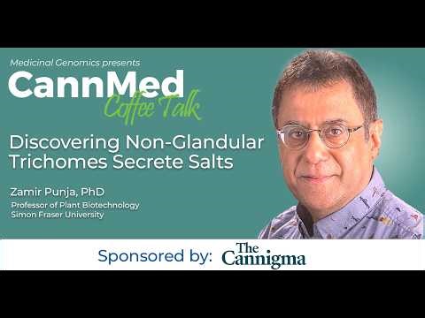 Discovering Non-Glandular Trichomes Secrete Salts with Zamir Punja, PhD