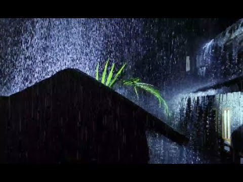 Fall Asleep in Minutes with the Sound of Gentle Rain