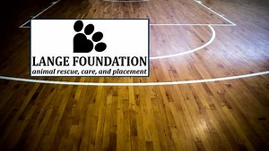 67K views · 689 reactions | Meet 16 animals from 4 different shelters across the US on the road to their Final Furever Homes! For every like  or love ❤️️ we'll donate $1 to the ASPCA to support each shelter and help animals! | Animal Planet | Facebook