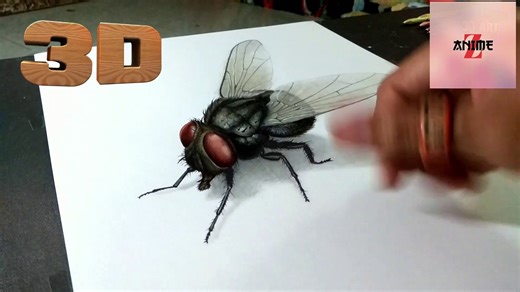 Insect Drawing 3D