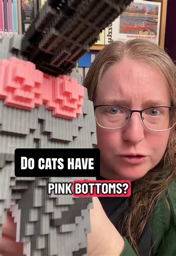 Understanding Your Cat's Unique Color Patterns