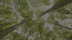 2.6K views · 14 reactions | Tomorrow! Its happening! The release of our new product! The Aucta Sycamore! The drop is happening tomorrow 3PM EST! See you there!  Countdown here  https://intech.com/rv/models/aucta/sycamore/ #inTechRV #Auctasycamore #familyadventure #TampaRVSupershow2025 | inTech RV | Facebook