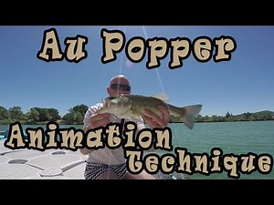 BASS au POPPER - Attaque Violente!! Explication de l'animation et technique de pêche ( achigan )