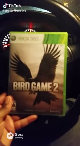 Bird Game 2 was released in 2009 for home console platforms. The title featured a structured progression system, a multi-mode gameplay layout, and a full-length single-player campaign produced alongside its online components. Upon release, it recorded high player engagement and remained active across its platform life cycle. Development involved large-scale production teams across engineering, design, visual effects, audio, and narrative departments. The project followed standard late-2000s AAA 
