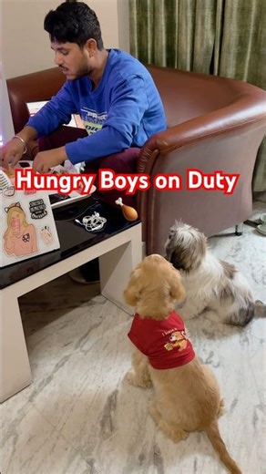 Two Hungry Dogs vs One Selfish Dad 😂 #dogs #hungry #cute #viral #trending