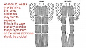 PILATES PREGNANCY AND POSTNATAL ONLINE COURSE $595 Online - lifetime access 15 PDP's with Pulates Alliance of Australasia 10 CEC's with APMA 7 CEC's with Fitness Australia 6 PDP's with Physical Activity Australia 2 repertoire manuals for mat and reformer Take the next step with your pre and postnatal education. I am so happy to be able to offer you this workshop online. There is new content, new moves and new information! The Pilates Pregnancy and Postnatal online course will take a closer look 