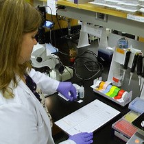 비디오: Where you cut matters: A Dissection and Analysis Guide for the Spatial Orientation of the Mouse Retina from Ocular Landmarks(중요한 부분을 자르는 곳: 안구 랜드마크에서 마우스 망막의 공간 방향에 대한 해부 및 분석 가이드)