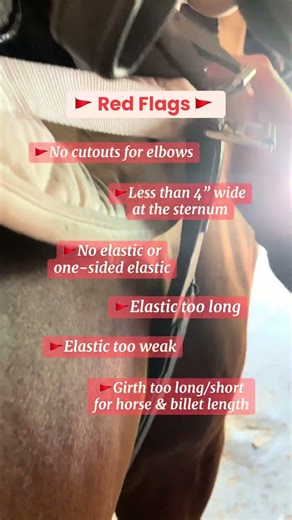 Let's Talk About Girths! #saddlefit #equestrianeducation #equinewelfare #horseriding