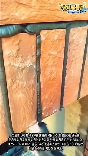 초보자도 따라 하는 벽돌 벽면 모르타르 줄눈 시공법법 #worker #process #tutorial #masonry #handtool