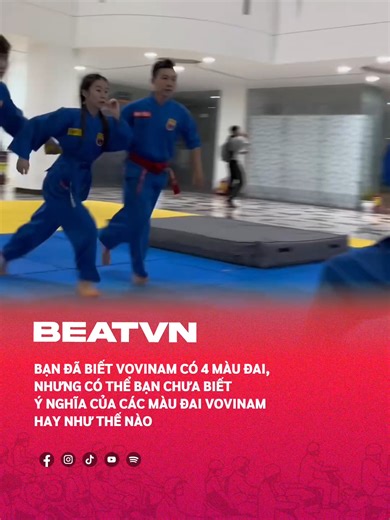 Ý nghĩa 4 màu đai trong Vovinam