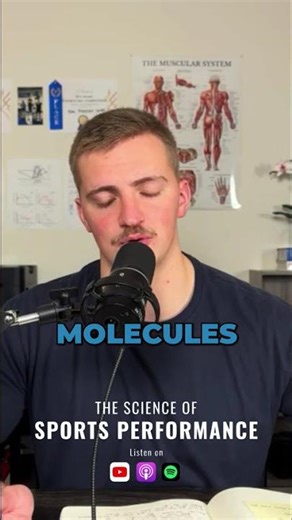 Protein Explained: Amino Acid Chains