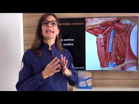 Vascularização Arterial da Cabeça e do Pescoço. PARTE 1