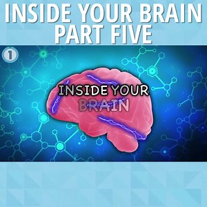 Do you know what technology is doing to your brain? | Channel One News | Facebook