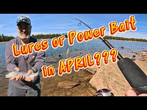 Rainbows and Tiger Trout! Willow Springs Lake Fishing Report April 2025 | Fishing Tips and Tactics