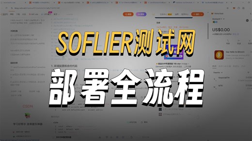 17. web3js结合sepolia测试网