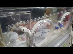 Random Blood Sugar (RBS) Test – Quick & Easy Procedure