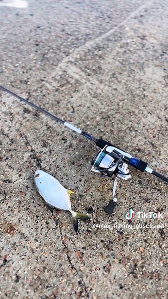 Lure Fishing Tips and Tricks for Better Catching