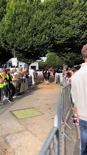 pennyhudsonkellyx on TikTok