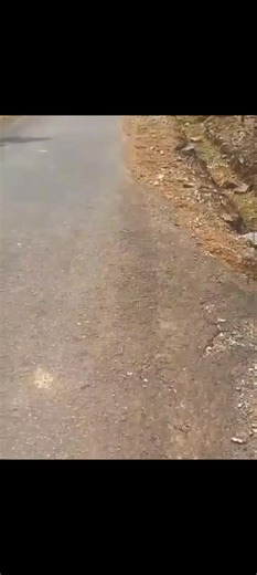 Duan (@duan.883)’s videos with suara asli - Duan