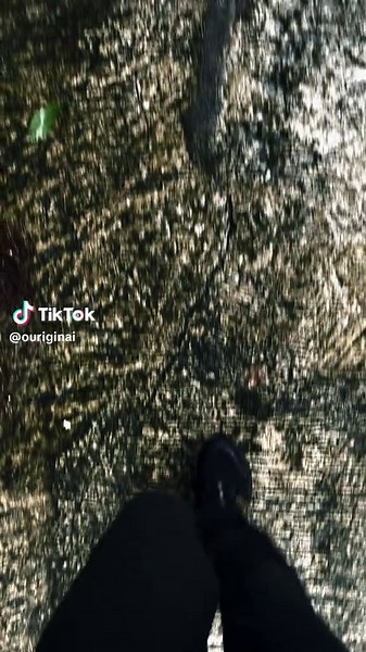 Creature (@ouriginai)’s videos with original sound - 𝐀𝐧𝐨𝐭𝐡𝐞𝐫 𝐖𝐨𝐫𝐥𝐝