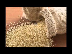 Top 5 Aliments Riches en Protéines Végétales