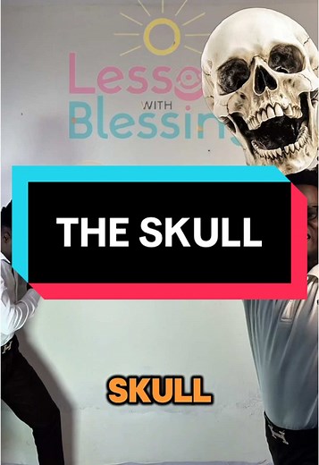 Understanding the Anatomy of the Skull: A Comprehensive Guide