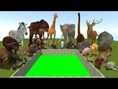 ALL Animals vs GIANT GREEN HOLE! Who Survives the Fall? (Garry’s Mod)