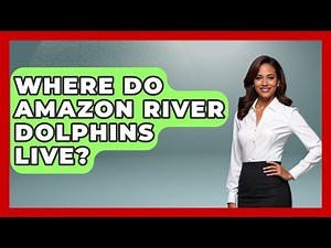 Where Do Amazon River Dolphins Live? - The Wild Life Explorer