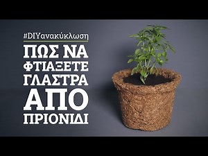 How to make a planting pot out of sawdust and flour glue