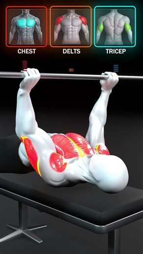 Bench Press Setup — How to Shift the Load Into Your Chest #strengthtraining #fitness #gym #viral