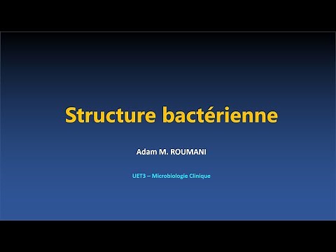 Microbio - Structure bactérienne