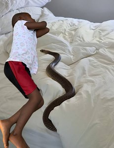 393K views · 5.4K reactions | Smart boy teaches the mother a lesson | Ogastreet | Facebook