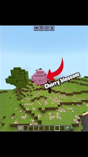 This minecraft seed is insane ❤️‍🔥💀#minecraft #ytshorts #gaming #viral 