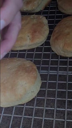 Buttery, Flaky & Tangy Perfection! Sourdough Biscuits!
