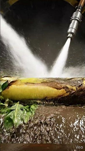 The Surprising Process of Banana Fiber Production #factory #textiles