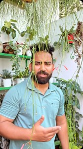 13K views · 3.5K reactions | How nature promotes life 溺 #hummingbird #birds #nature #bird #hummingbirds #birdsofinstagram #birdphotography #naturephotography #hummingbirdsofinstagram #art #wildlife #colibri #birdwatching #wildlifephotography #hummingbirdphotography #photography #birding #best #hummingbirdtattoo #of #hummingbirdlover #ig #perfection #flowers #colibr #birdlovers #tattoo #rubythroatedhummingbird #hummingbirdart #minnkota | Steve Fernandes | Facebook