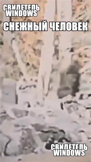 Единственное настоящее видео Снежного Человека снова вызывает много вопросов