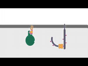 7 3 CD28 Costimulation