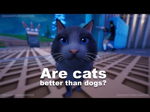 The Best Cat - In Depth Fortnite & Item Shop Review w/ QUANTUM CAMPER 12-4-25 New Sidekick!