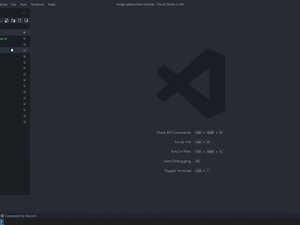NestJS Websockets Tutorial #1 - Creating a Websocket Gateway Server